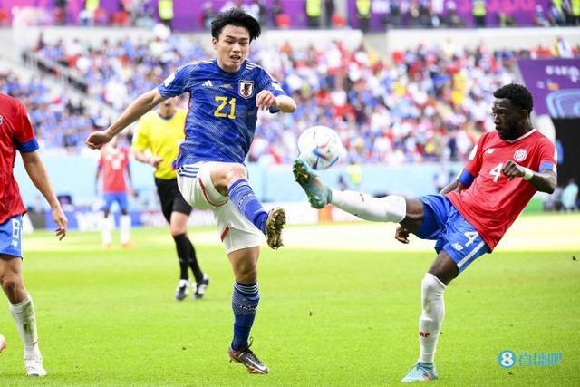 严格的康复 严格的康复