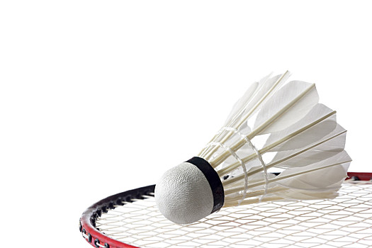 己的位置 己的位置