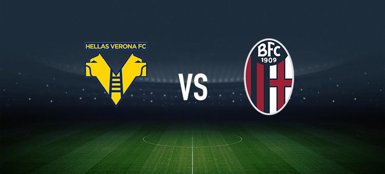 抛投稳稳命 抛投稳稳命